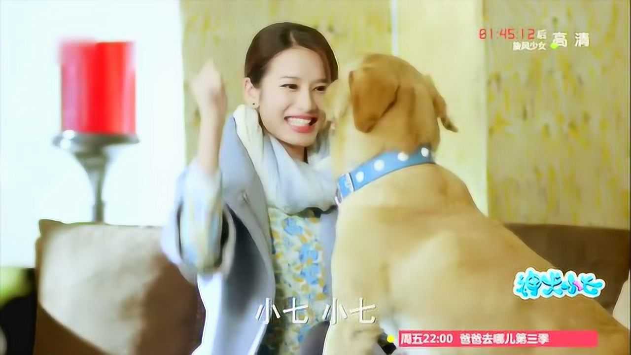 神犬小七小米想小七和吕一丹它做出这样的举动太搞聪明了