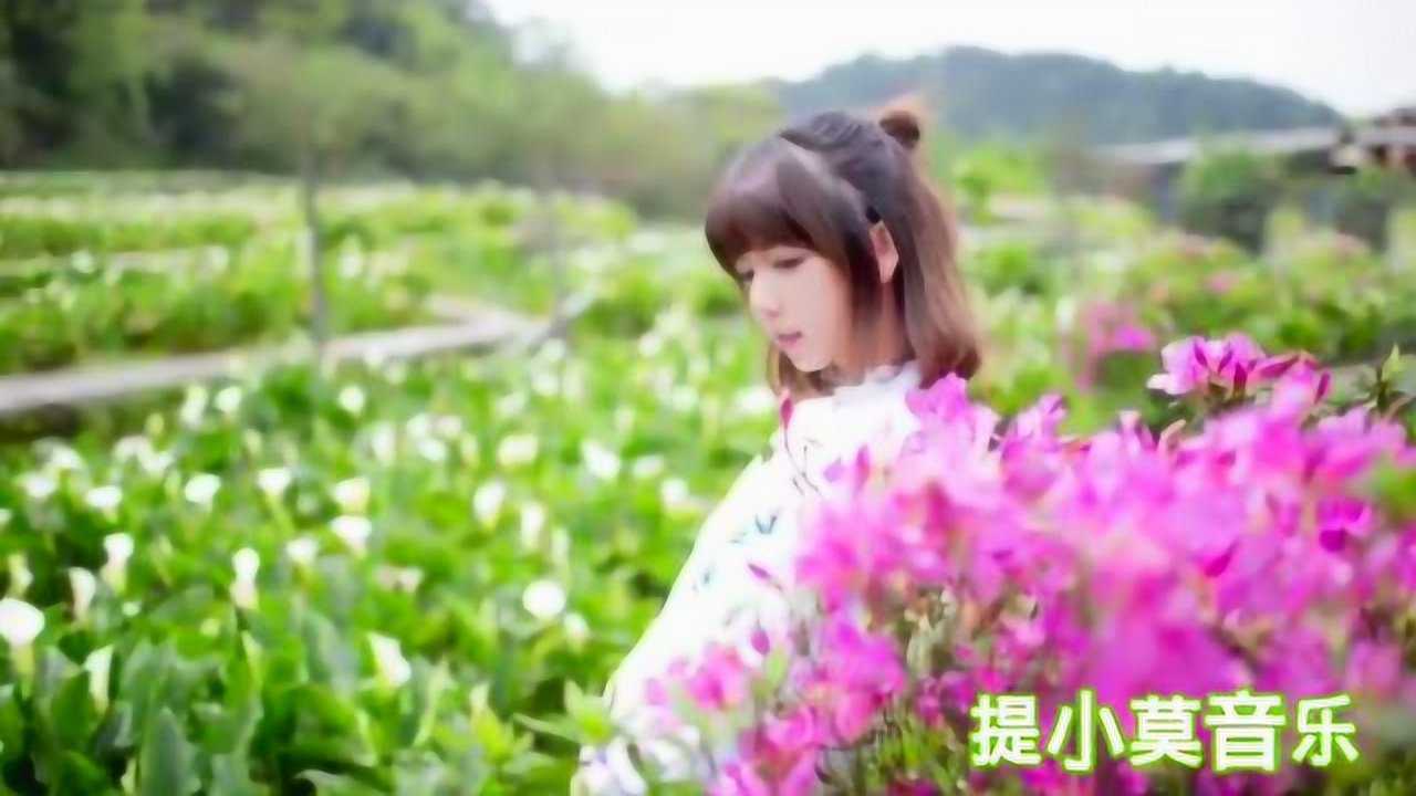 舒缓放松纯音乐,放松心情舒缓情绪的极美纯音,节奏舒缓旋律醉人_高清1080P在线观看平台_腾讯视频