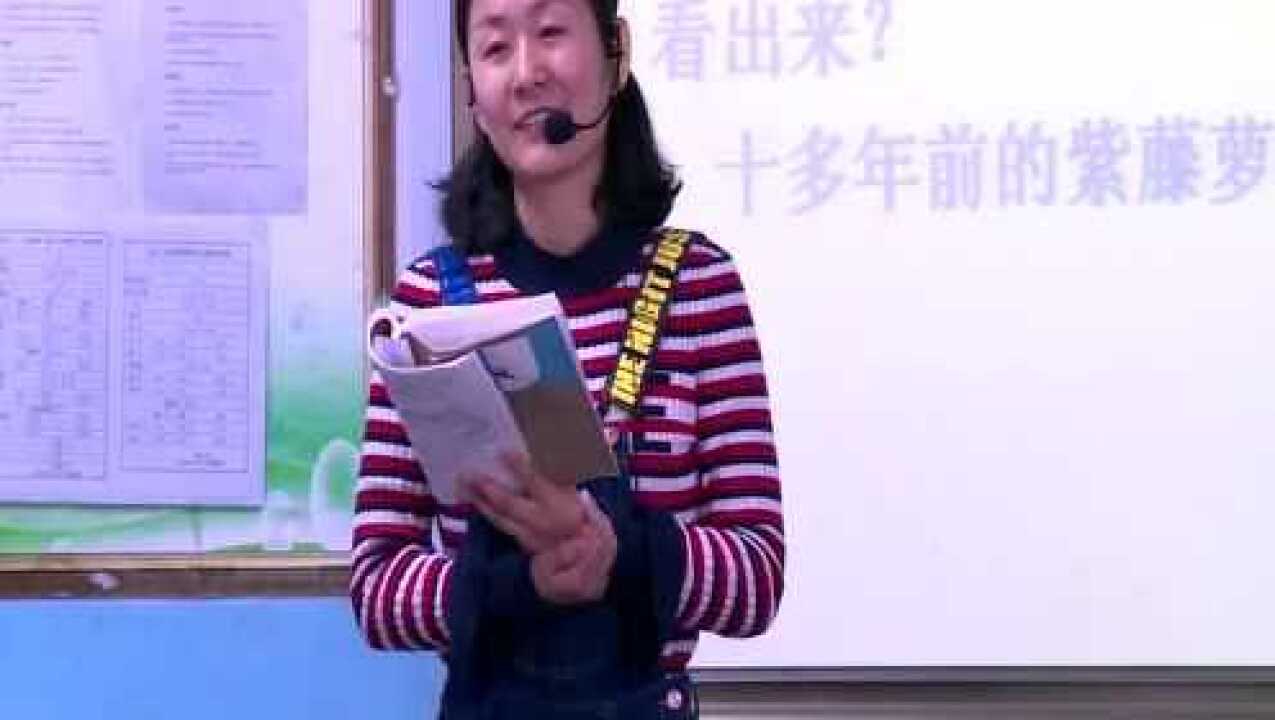 紫藤萝瀑布课堂实录_高清