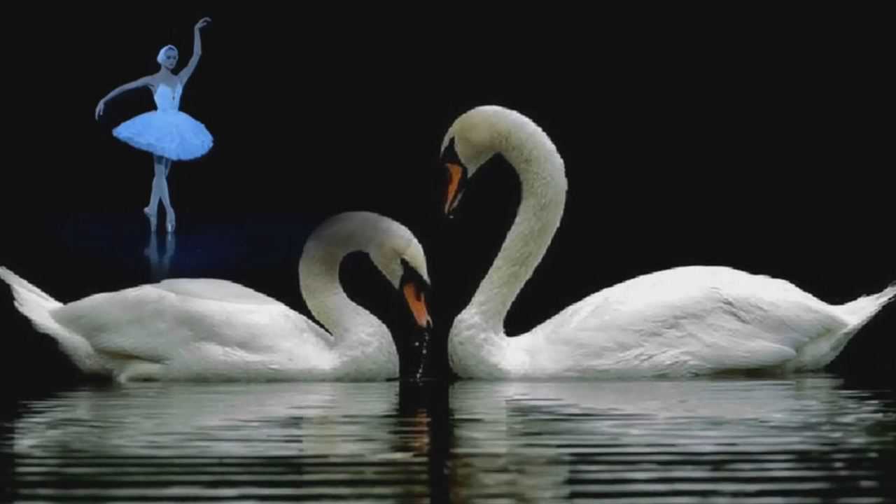 芭蕾舞天鹅湖最炫最震撼的黑天鹅舞曲莫斯科大剧院版