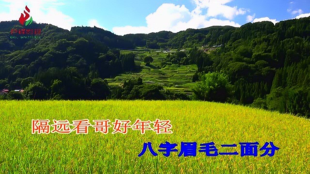 贵州纳雍山歌《妹是天上花蝴蝶》