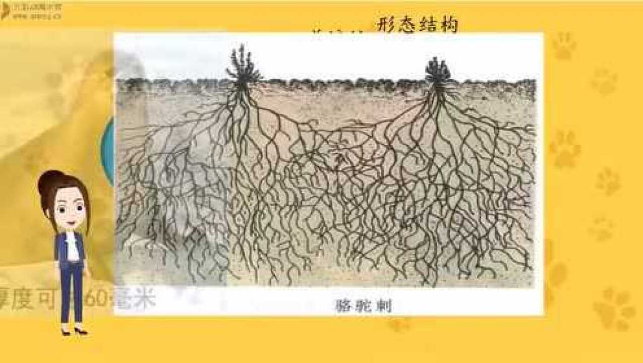 生物对环境的适应和影响_腾讯视频