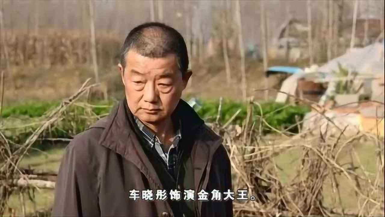 86版《西游记》金角大王饰演者-车晓彤