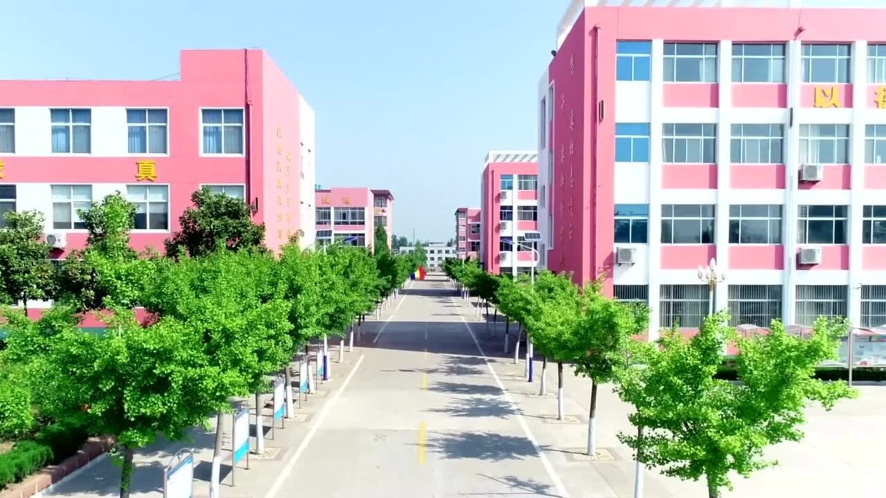 李官中学我宣誓