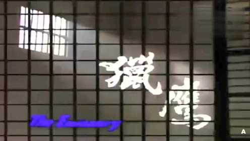 猎鹰 是TVB在1982年首播的电视剧 刘德华领衔主演 香港典故