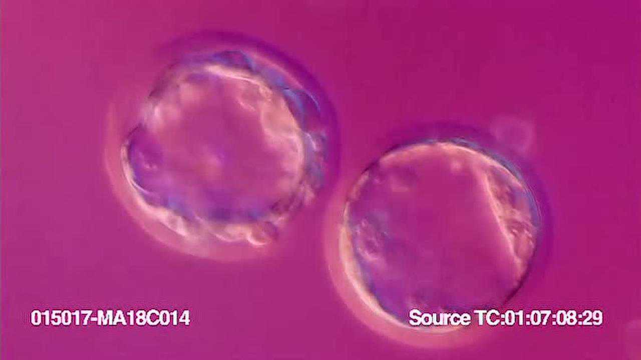 _高清1080P在线观看平台_腾讯视频