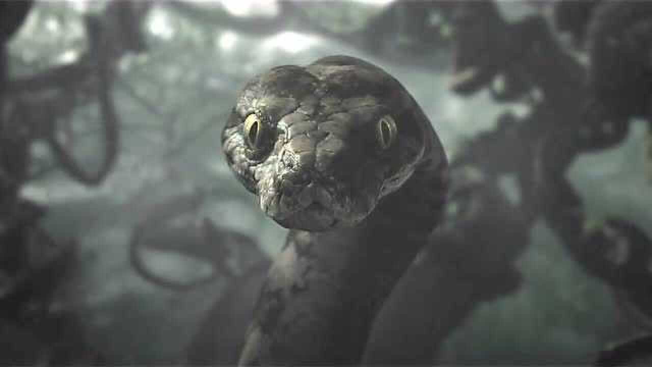 奇幻森林巨蟒道出毛克利的身世