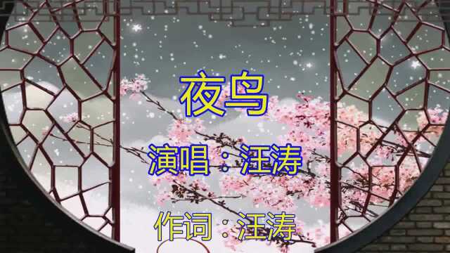 经典歌曲《夜鸟》好听极了,送给你