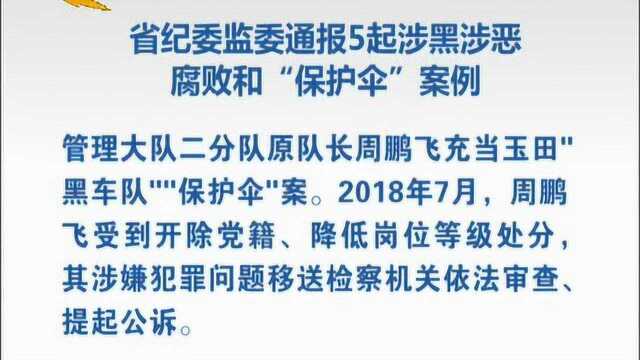 河北省纪委监委通报5起涉黑涉恶腐败和“保护伞”案例