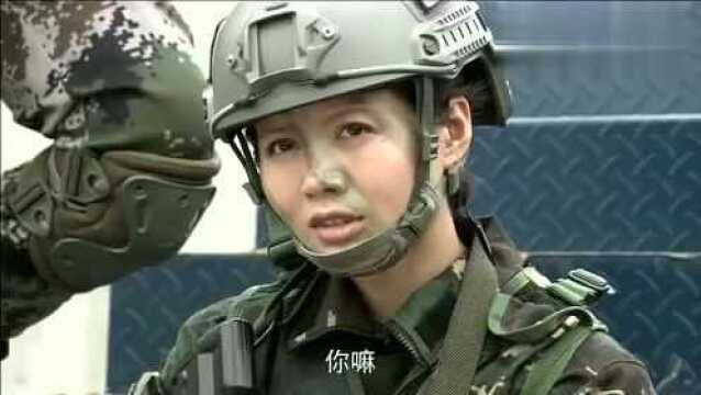 特种兵之火凤凰: 美女打情骂俏, “老狐狸”一句话, 雷战生气了