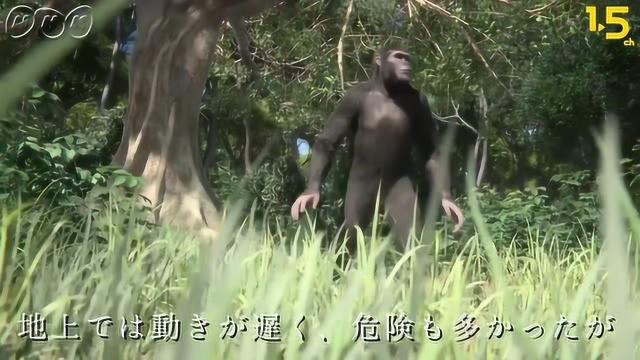 距今440万年前 古人类生活