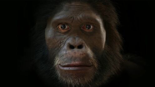 假如地球上所有人都死了，猿猴还会进化成人类吗？