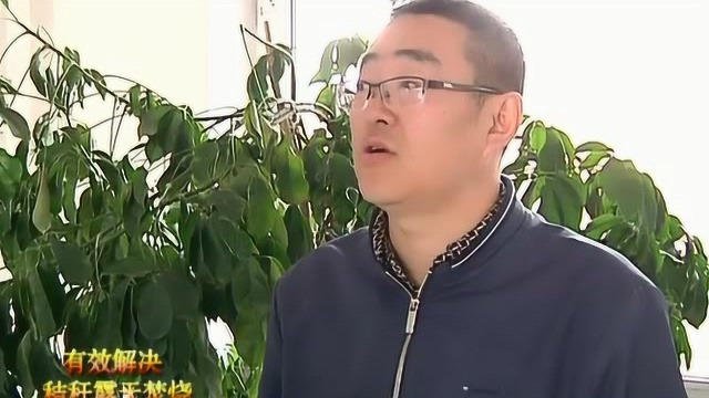 《东宁新闻》黑龙江东宁市举办中小学“中华魂”主题演讲比赛