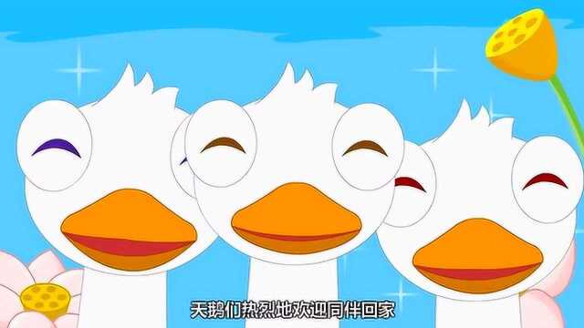 天天学儿歌:丑小鸭