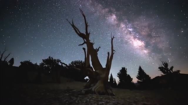 绝美夜空,繁星似锦,点点碎碎,如同落金,令人叹为观止!