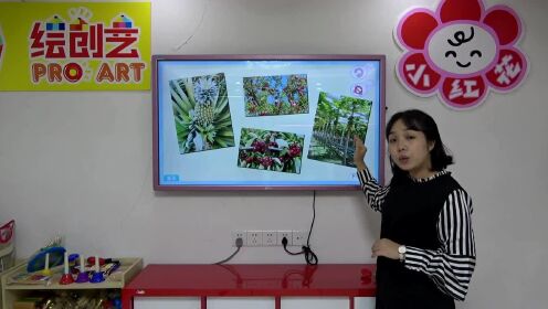 高清1080P在线观看平台_腾讯视频