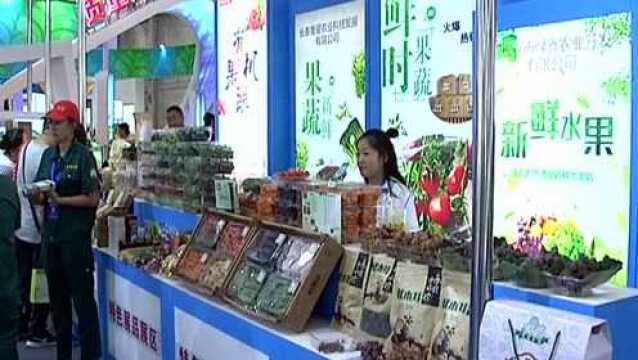 第十七届中国长春国际农业 食品博览交易会开幕