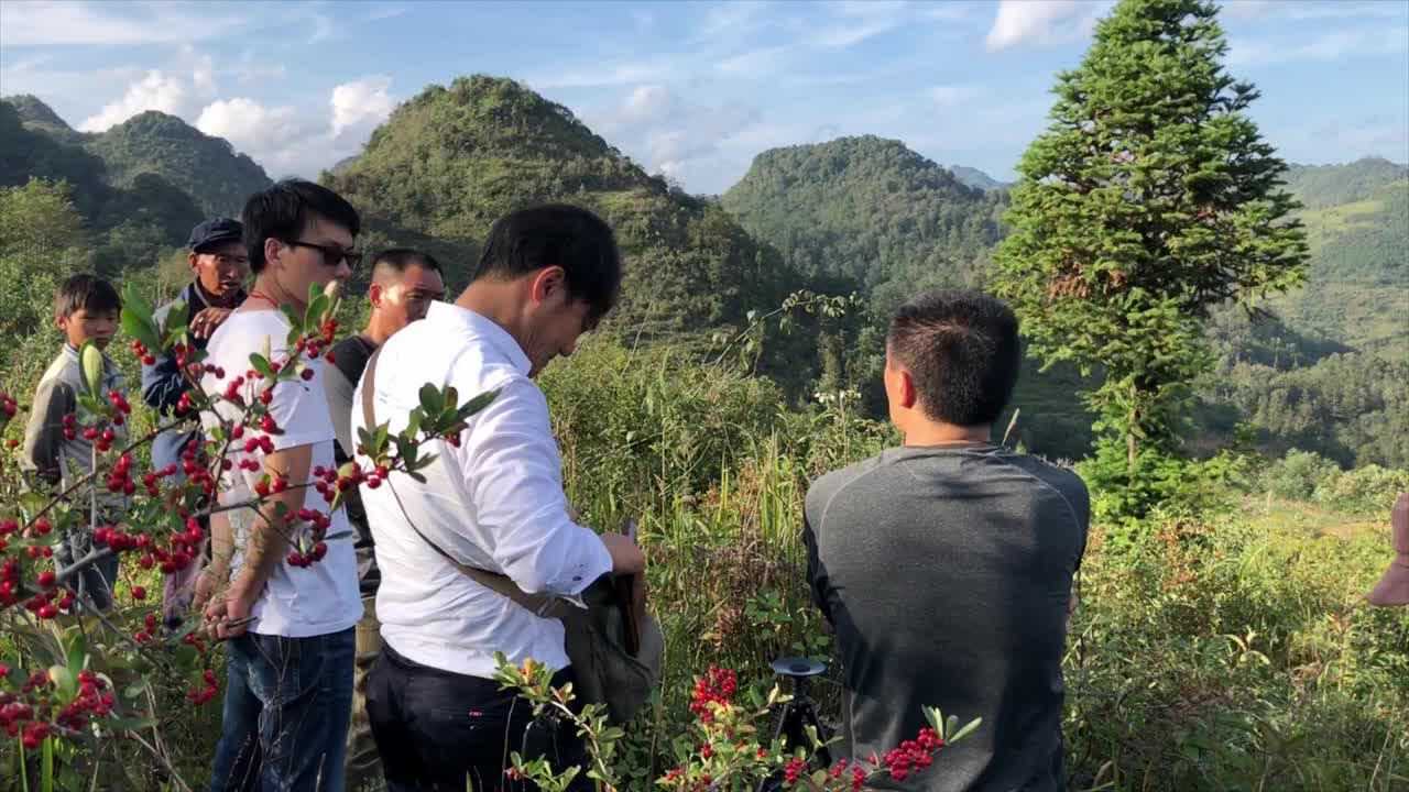 赵一铭易经风水,云南文山风水业务,墓地风水腾讯视频