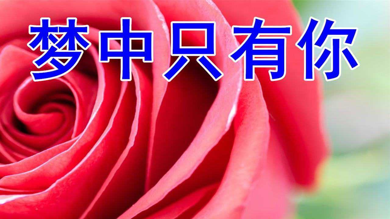 腾讯视频-中国领先的在线视频媒体平台,海量高清视频在线观看