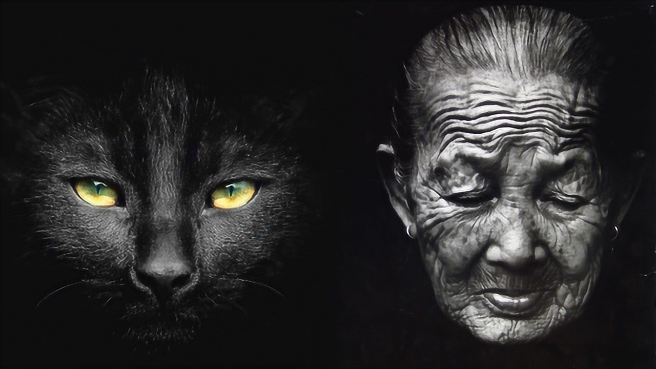 东北神秘传说几代人的童年噩梦解读95年哈尔滨猫脸老太太事件