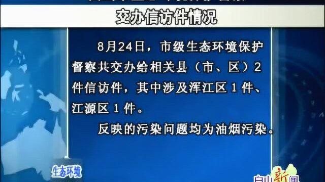 白山市生态环境保护督察交办信访件情况