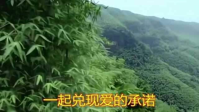 新歌推荐,一首《傲蕾一兰》,伤感情歌,听一遍就爱上了