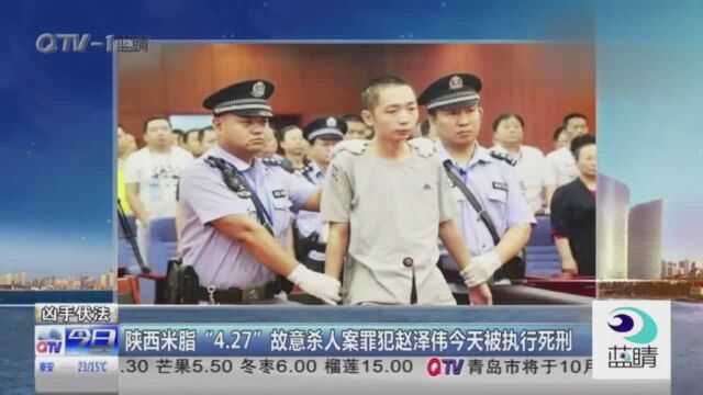 陕西米脂427故意杀人案罪犯赵泽伟今天被执行死刑