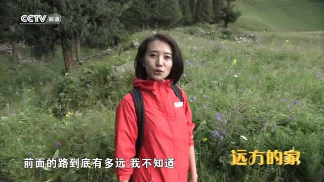 Thumbplayer Poster Plugin Image