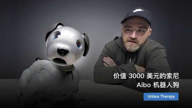 价值 3000 美元的索尼 Aibo 机器人狗