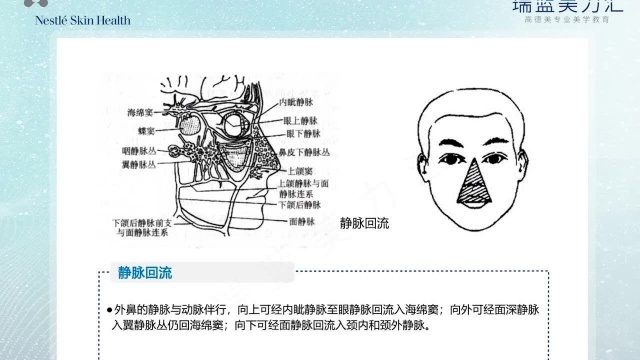 鼻部解剖层次