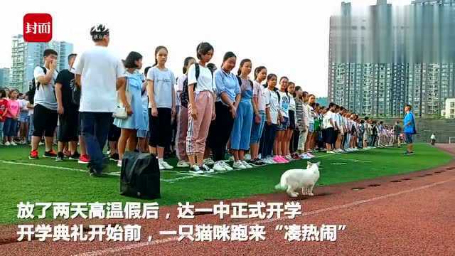 达州新闻9月5日清晨 达一中在新校区操场举行开学典礼