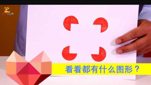 少儿科学:看看都有什么图形? 幼儿园科学