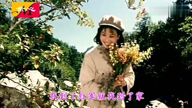 电影白莲花《得到了幸福得到了他》朱逢博