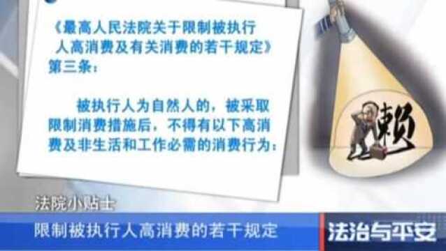 4、法院小贴士:限制被执行人高消费的若干规定