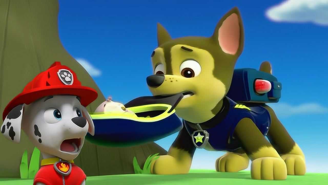 狗狗巡逻队 阿奇用帽子营救小鹦鹉被毛毛发现 汪汪队立大功