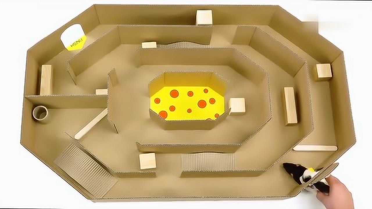 手工diy:用瓦楞纸给宠物小仓鼠制作出一个迷宫,给它5分钟寻找出口