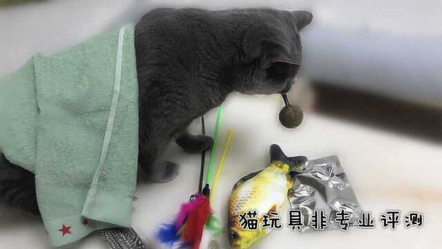 猫玩具开箱评测:猫咪更喜欢哪种玩具呢?