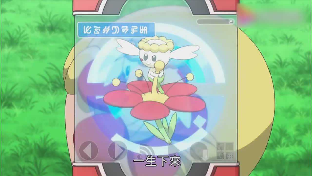 精灵宝可梦xy:花蓓蓓趴在美女头上,却一点精神都没有,饿了么?