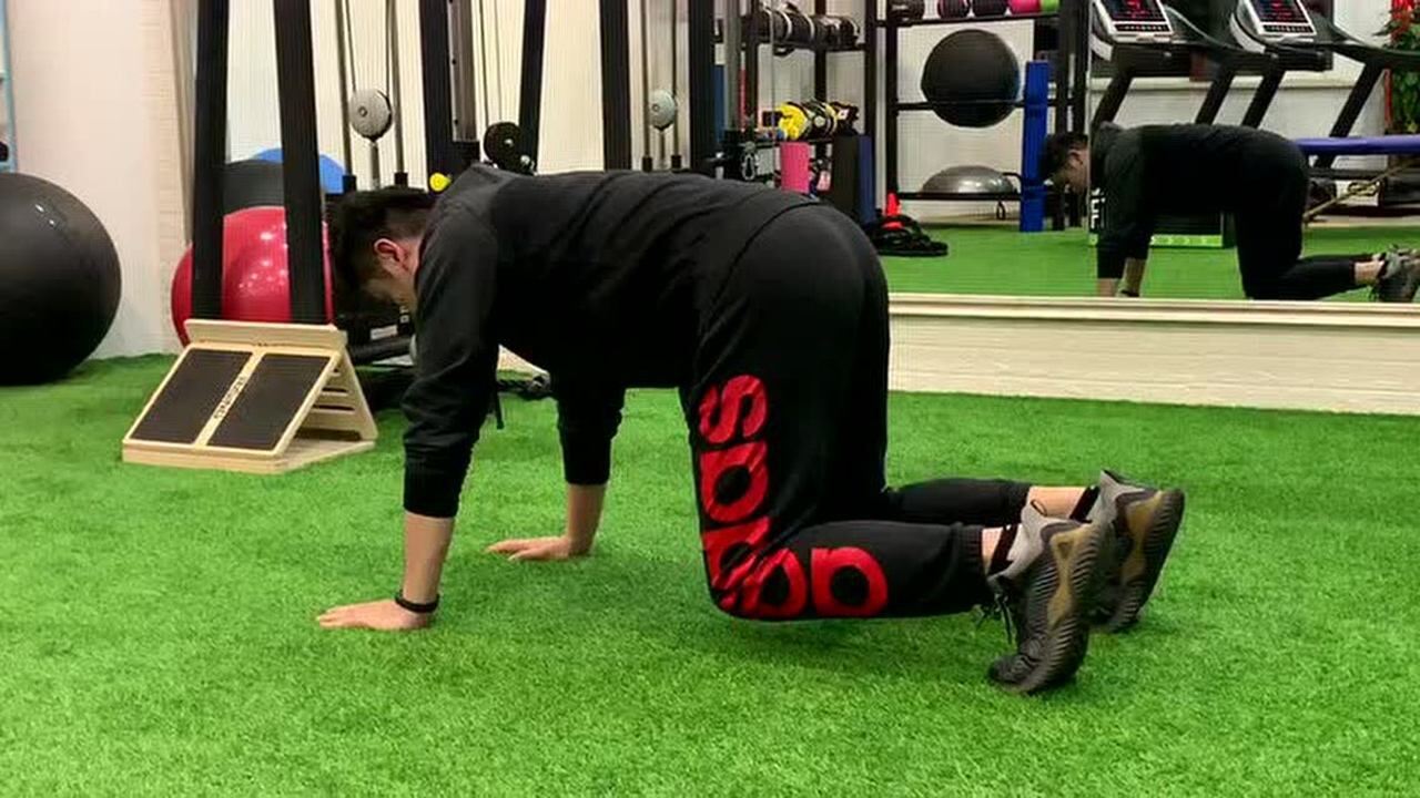 健身达人顺哥带你做训练四足支撑11月28号i