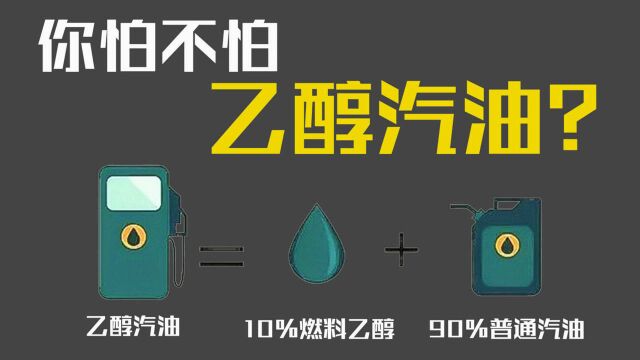 豆车一分钟:德国已放弃乙醇汽油,中国却全面推广,怎么办?