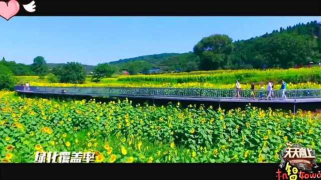 “天天向上”铜川绿水青山,转型成绿化城市覆盖率最大的城市