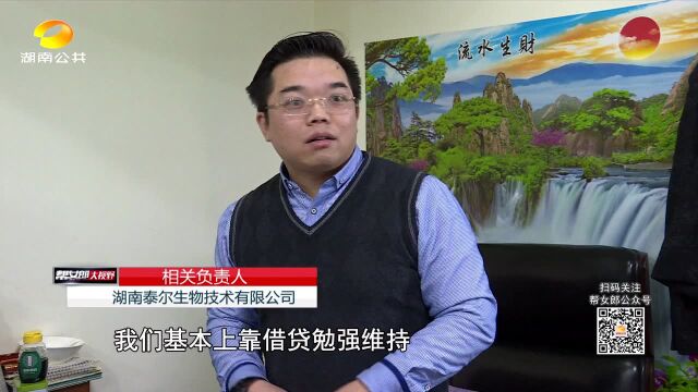 公司拒不执行判决,法院启动强制审计