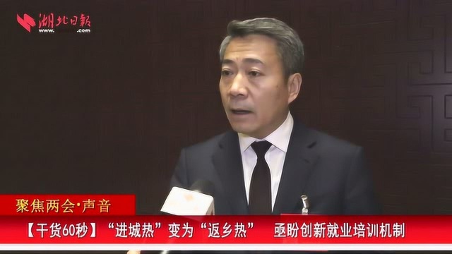 湖北两会:“进城热”变为“返乡热” 亟盼创新就业培训机制