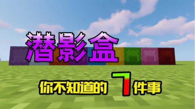 我的世界:潜影盒你不知道的7件事:潜影盒居然能让实体浮在空中