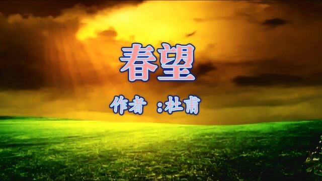 《春望 》杜甫 视频朗诵“烽火连三月 家书抵万金”