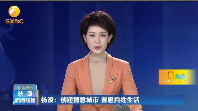 杨凌:一张“农科城卡”在手,医疗、教育、交通等信息资源集约共享