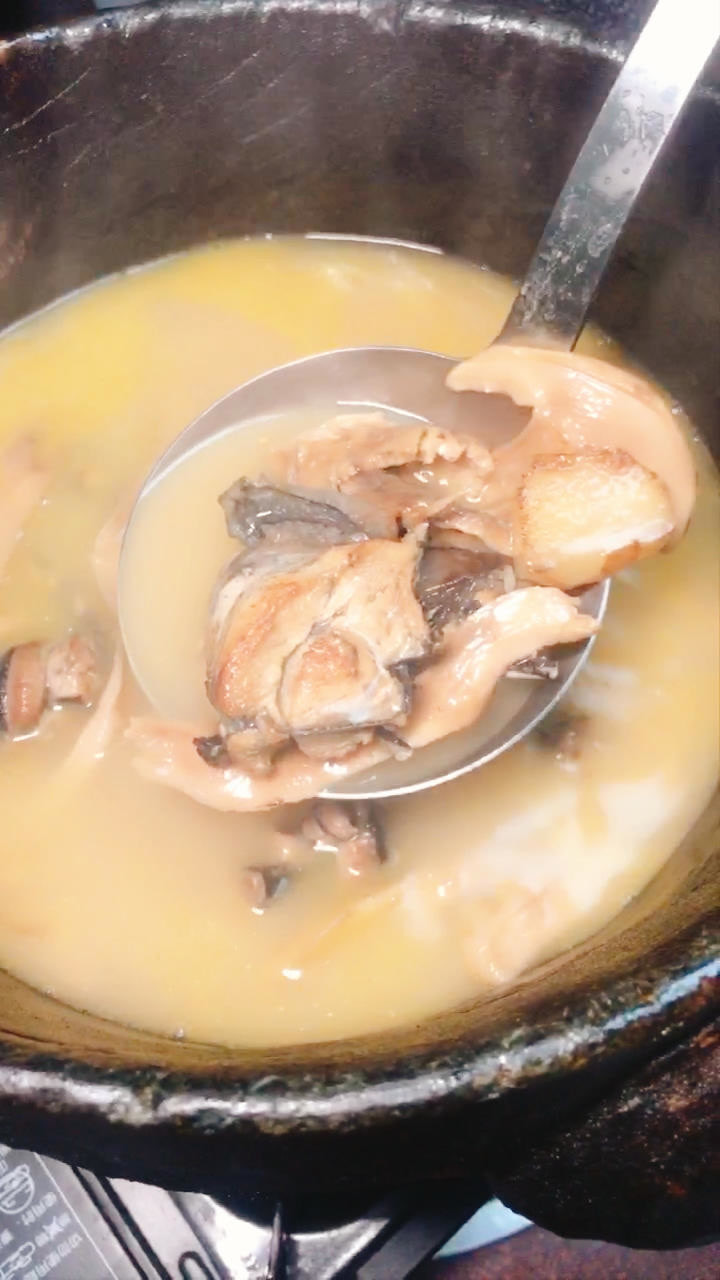 一锅鲜美的松茸鸡汤