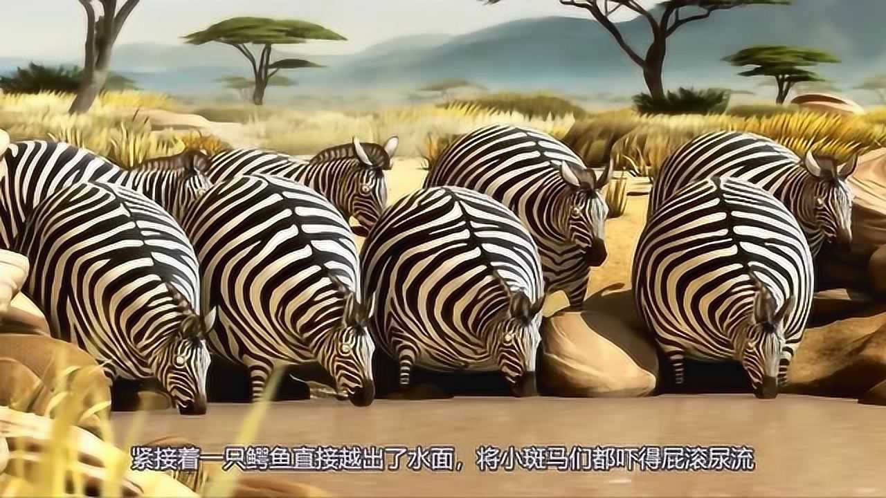 《肥版国家地理》精彩合集_如果小动物们都变成了胖子，捕猎过程都会变得很搞笑了！_少儿_动画片大全_腾讯视频