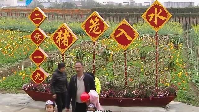 南海春节好去处 翰林湖畔花正艳