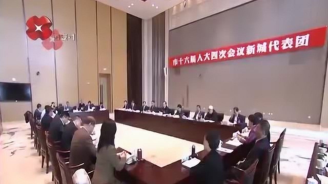 王永康在参加新城代表团审议政府工作报告时作出强调